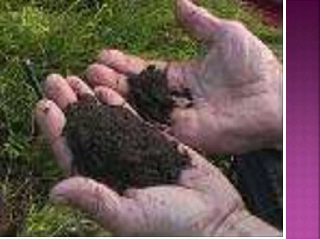 Почвы кемеровской области 4 класс. Выбросы кемеровской области карта. Карта почвенного покрова кемеровской области. Какая почва в кузбассе. Карта почв кемеровской области.