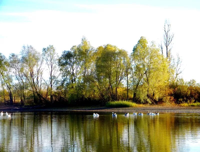 Фото прохоровского района белгородской области Прохоровка Википедия