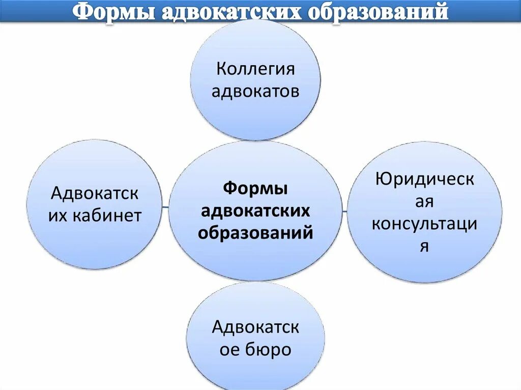 Организационно правовая форма адвокатской палаты. Организационно правовая форма адвокатской палаты