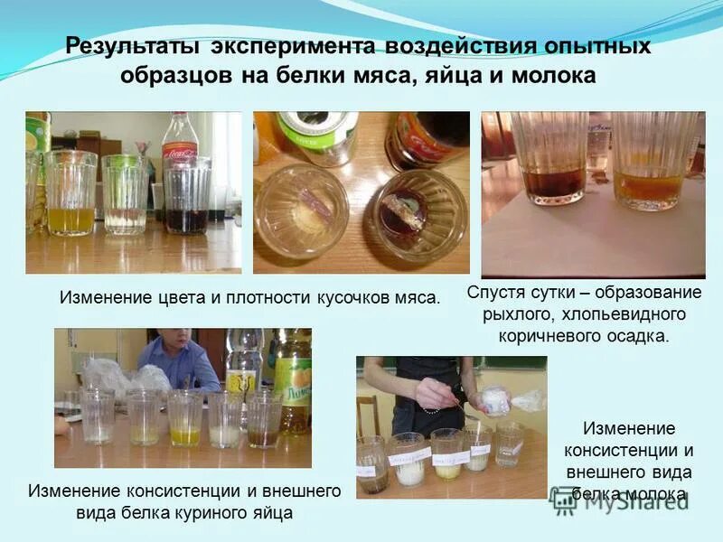 ошибки экспериментатора и испытуемых. влияние химических веществ на рост растений. формирующий эксперимент в психологии это. компьютерный эксперимент. факторы влияющие на эксперимент.