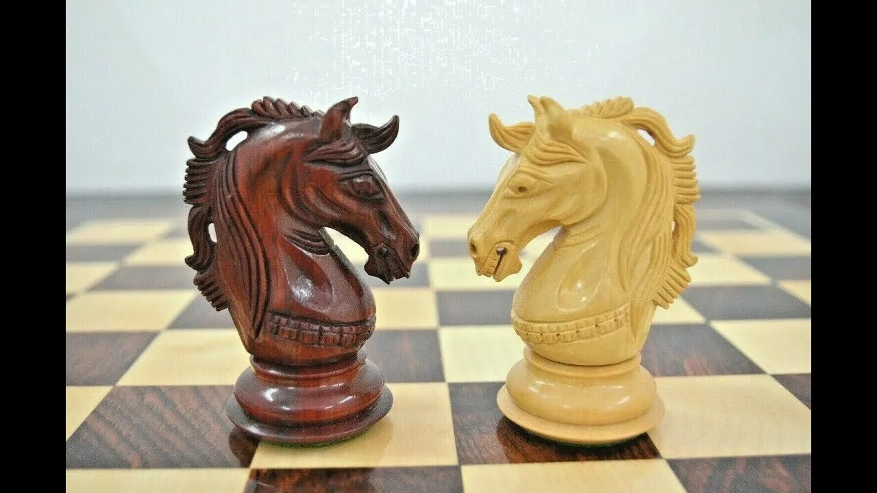Шахматы Стаунтон конь. Шахматная фигура конь. Фигурка коня шахматы. Фигура коня в шахматах. 2 коня шахматы