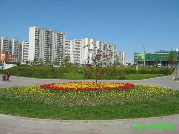 16 мкр зеленоград. работа зеленоград 16. ярмарка вакансий картинки. парк в 16 районе зеленоград. зеленоград 10 микрорайон.