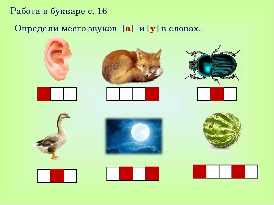 Картинка для звукового анализа слов. Схема звукового анализа. Место звука в слове. Звуковые карточки для дошкольников. Определи позицию звука в слове.