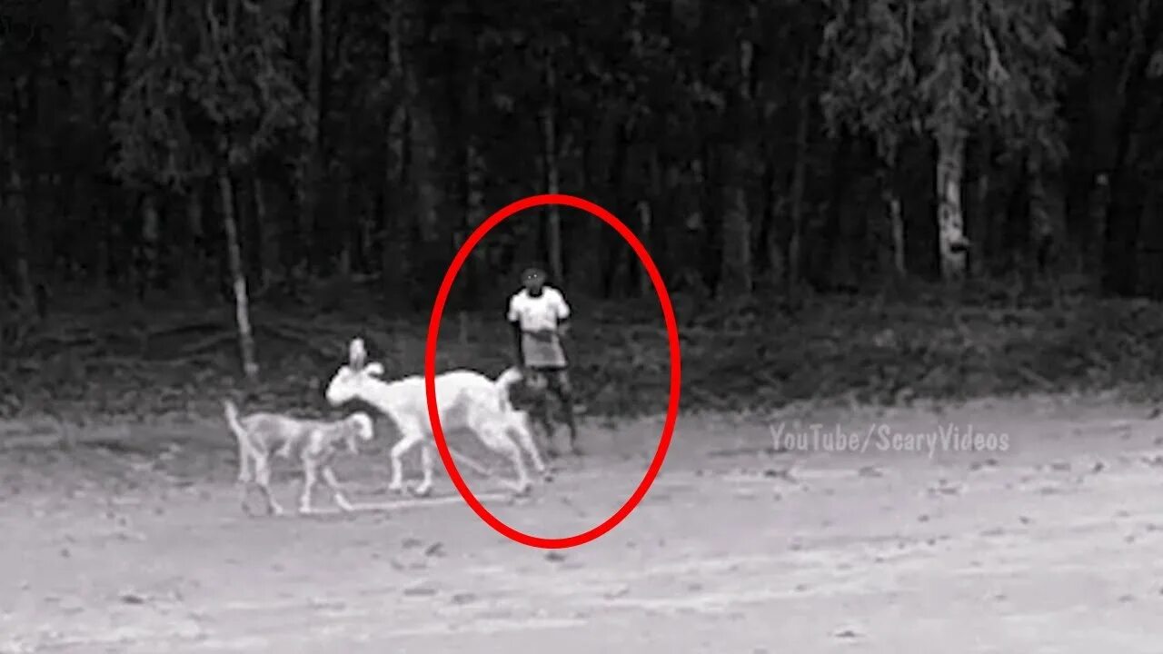 реальные снимки привидений. призраки на старых фотографиях. реальное привидение. реальные снимки призраков. приведения на фотографиях.