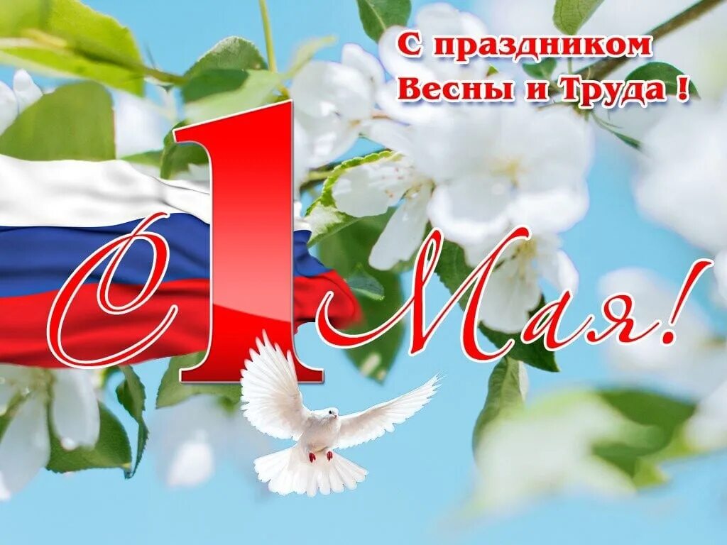 Урок 1 мая. Поздравление с 1 мая. 1 Мая праздник весны и труда. Открытки с 1 мая. С праздником 1 мая поздравления.