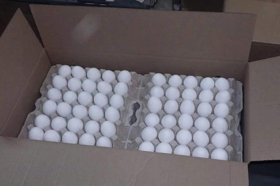 Яйцо куриное коробка. Яйца в коробке. Ящик для инкубационного яйца. Коробка для яиц. Коробки для перевозки яиц.
