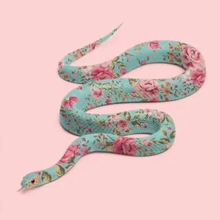 Snake plate