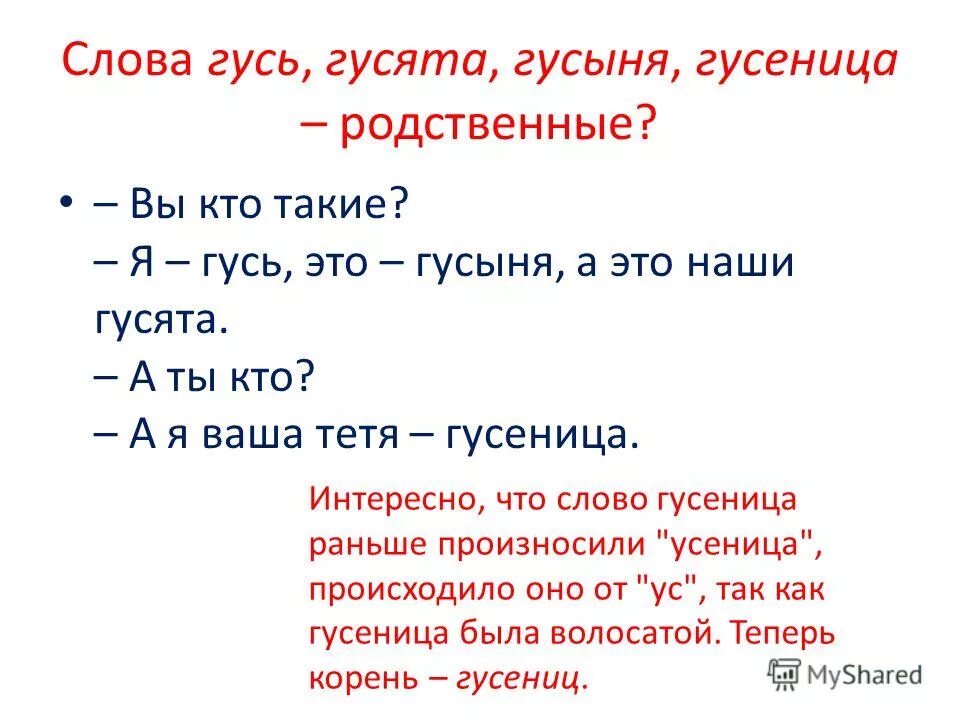 Как вы понимаете следующие слова строки