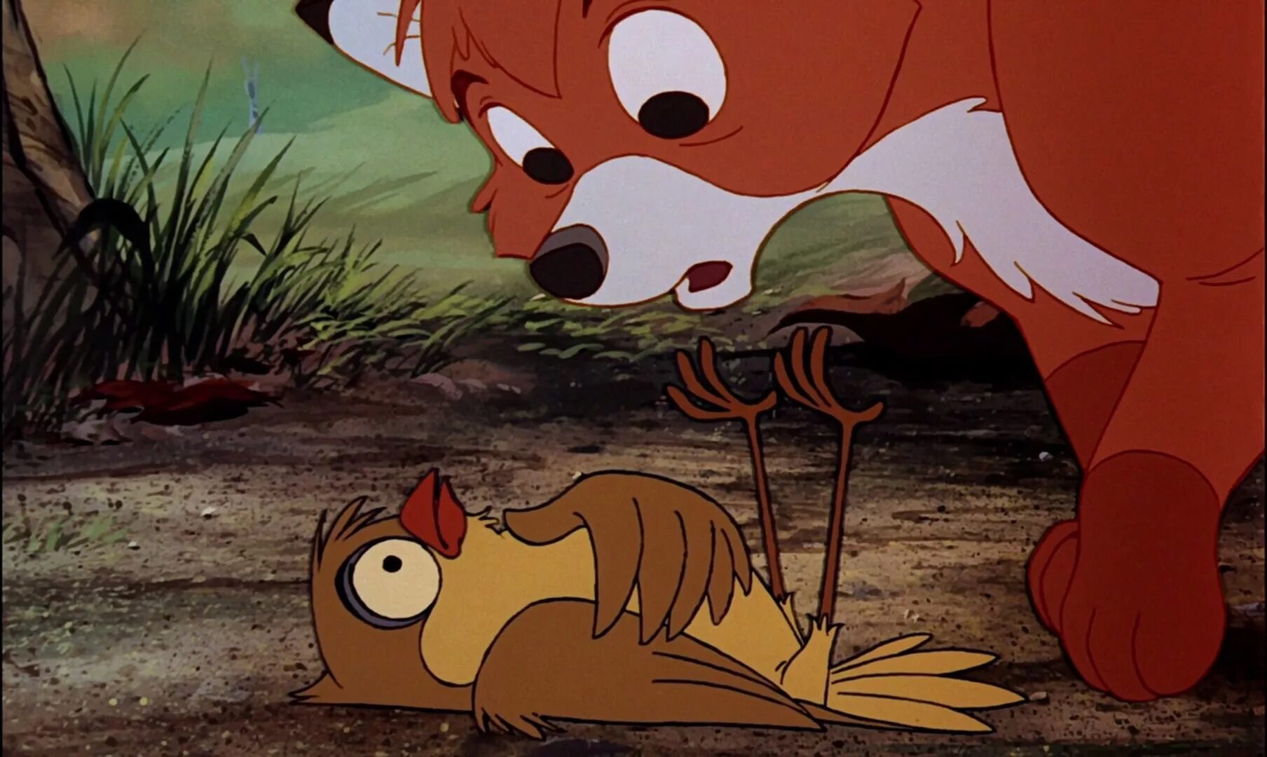 Лис и охотничий пес 1981. Лис и пес Дисней. The fox and the bear