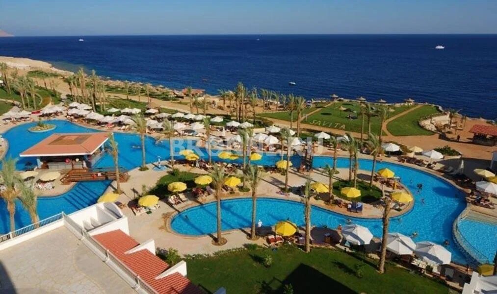 Siva sharm resort 4 шарм эль шейх. Отель в Египте Siva Sharm. Savita Resort Spa 5 Шарм-Эль-Шейх. Египет отель Сива Шарм 5. Сива Шарм Резорт Шарм-Эль-Шейх 4.