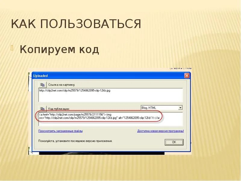 Код копирования текста. Код копирования. копирование кода с картинки. как пользоваться. как правильно пользоваться поиском.