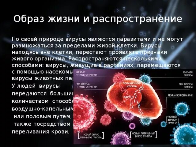 Вирус является живым организмом. Образ жизни вирусов. Распространение вирусов в природе. Распространение и образ жизни вирусов. Вирусы вне клетки.