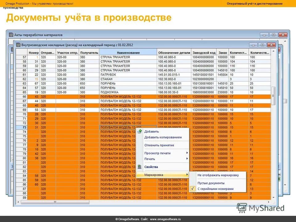 Omegasoftware ИТ Россия. Сп 110 99 статус