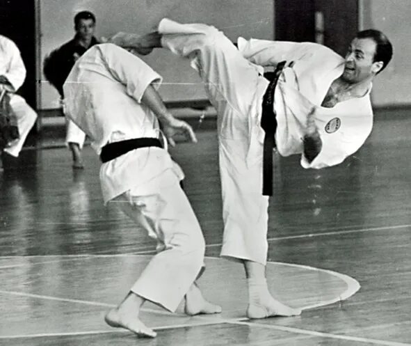 советские боевые искусства. легенда каратэ. советское карате. центральная школа каратэ ссср. каратэ в ссср.