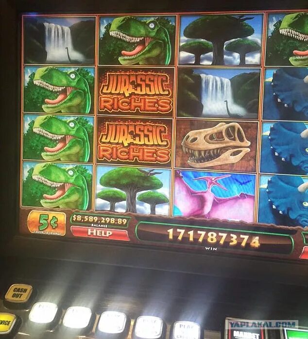 Игра в Новоматик про трех ящериц. Low wagering Casino Bonuses. Woman wins millions on Slot Machine but Casino refuses to.
