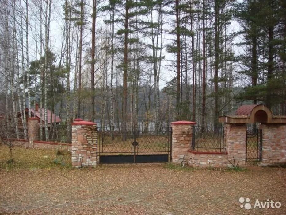 Бор белькова. Бор бельково псков. Озеро бор бельково псков. Бор белькова. Озеро бор бельково псков.