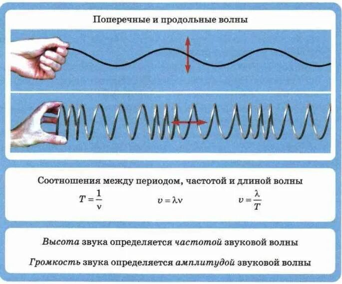 Продольная волна формула. Поперечная волна и продольная волна. Продольные и поперечные механические волны. Продольные и поперечные волны примеры. Продольные и поперечные волны в физике.