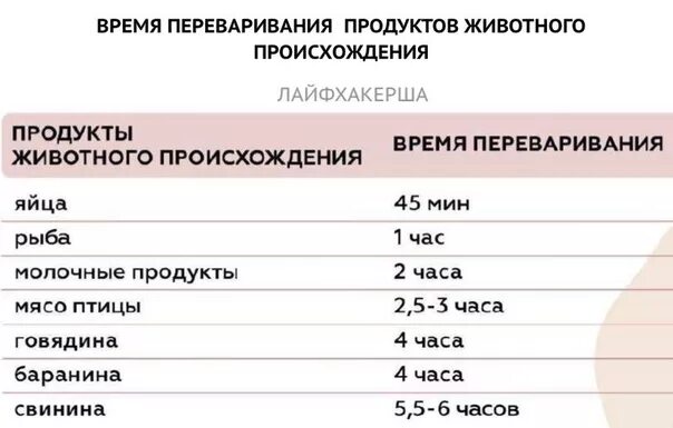 Сколько переваривается капуста. Время переваривания пищи. Сколько переваривается пища. Время переваривания пищи у собак. Сколько часов переваривается пища.