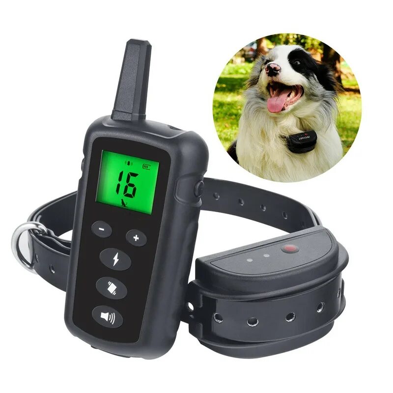 Ошейник дрессировочный влагозащищенный 800м. Ошейник Remote Dog Training. Электроошейник для собак с пультом антилай. Ошейник для собак с электрошоком с АЛИЭКСПРЕСС. Купить электронный ошейник для дрессировки