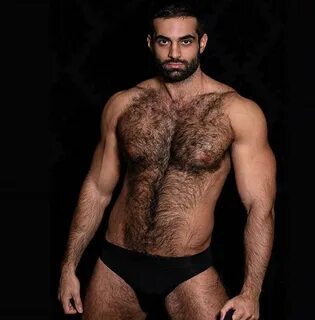 Hairy Hunks, Hairy Men, Hot Men, Hot Guys, Bear Men, Hairy Chest, Male Ches...