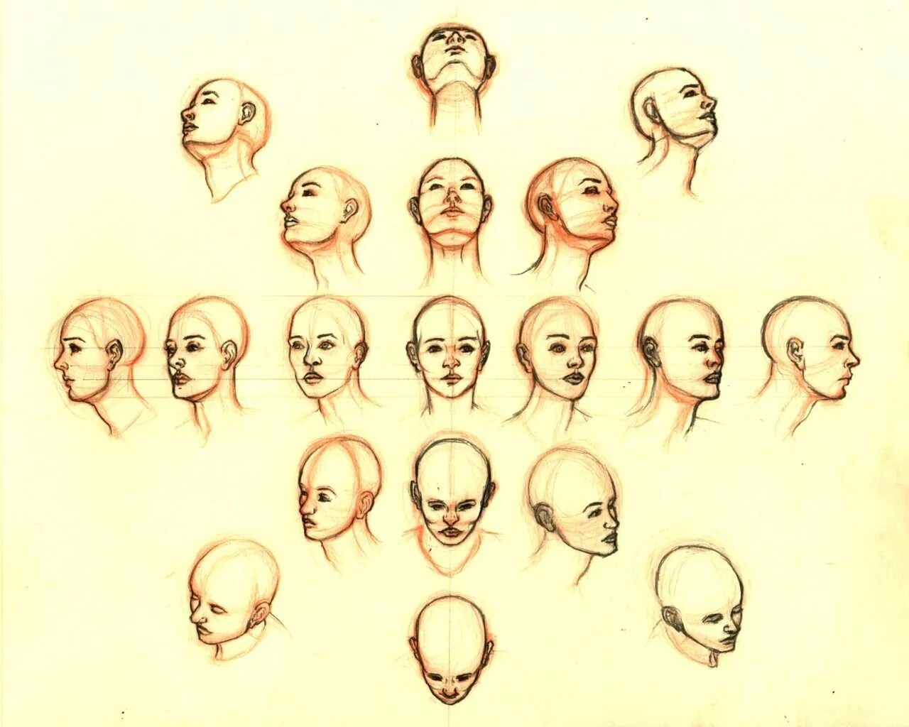 Голова в разных ракурсах. Голова человека в разных ракурсах. Рисование лица в разных ракурсах. Лицо с разных ракурсов. Референс головы человека