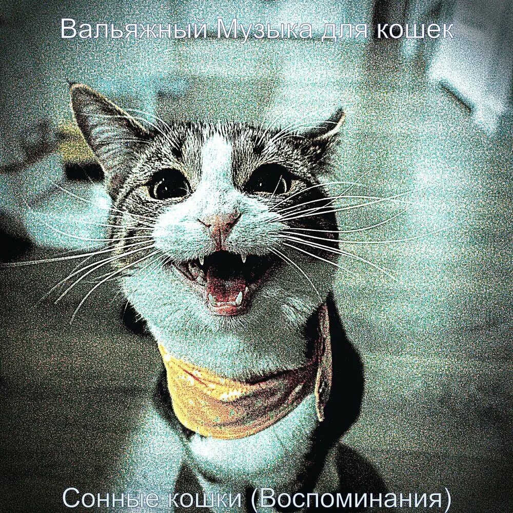 Включи кошка песня. Кэт мьюзик. мелодии про кошек. песни про кота. песня про кошку.