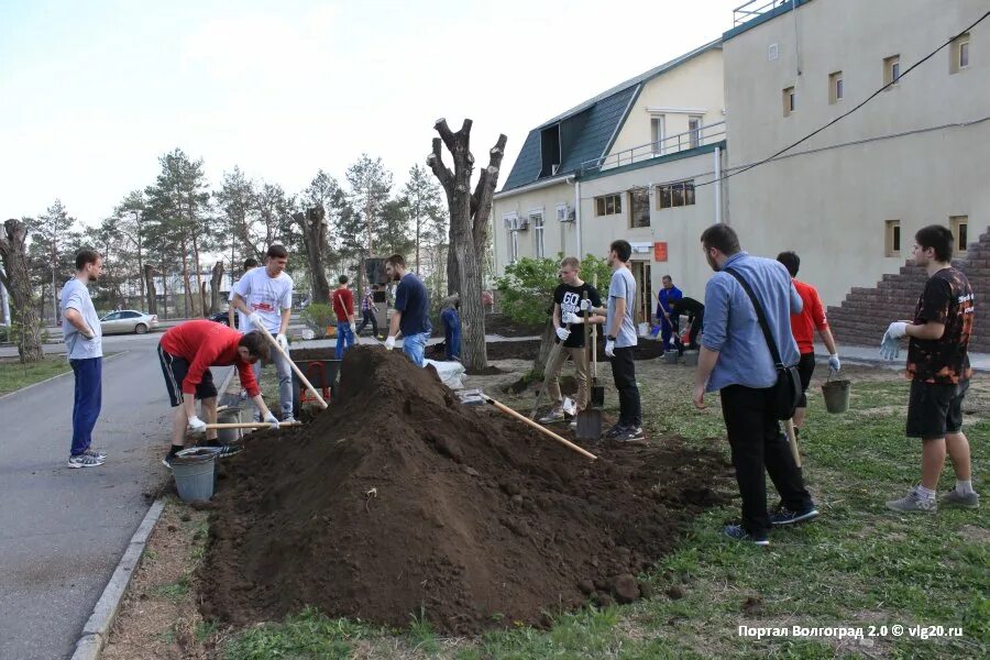 о делах благоустройства