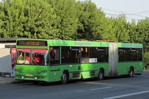 Автобус 11 могилев