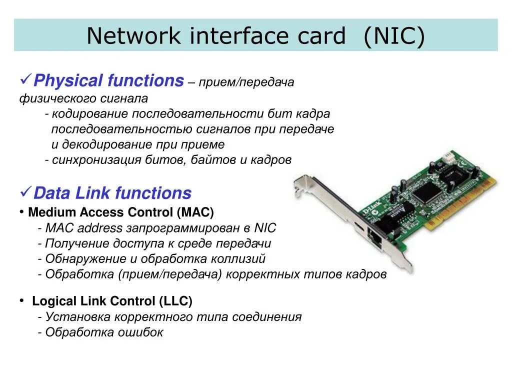 Сетевая интерфейсная карта. Network interface Card nic. Интерфейс. Интерфейсные карты (сетевые адаптеры). Типы сетевой карты