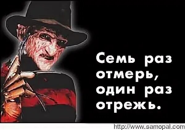 Скажи 7 раз. Семь раз отмерь. Семь раз отмерь один раз отреж. 7 Раз отмерь. 7 Раз отмерь 1 раз отрежь.