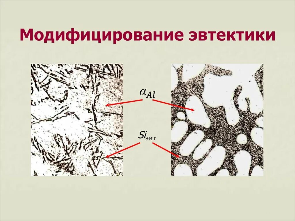 Модифицированные стали. Эвтектика структура. модифицирование стали. модифицирование сплавов. модифицирование металлов.
