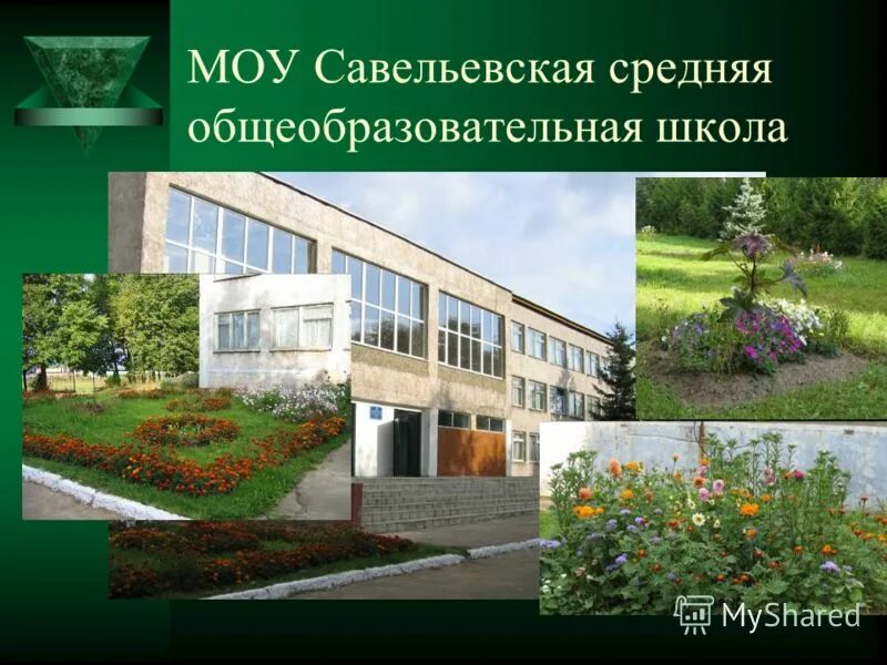 сынтульская школа. сайт средней общеобразовательной школы. нагалыкская школа сош. средняя общеобразовательная школа. моу сынтульская сош.