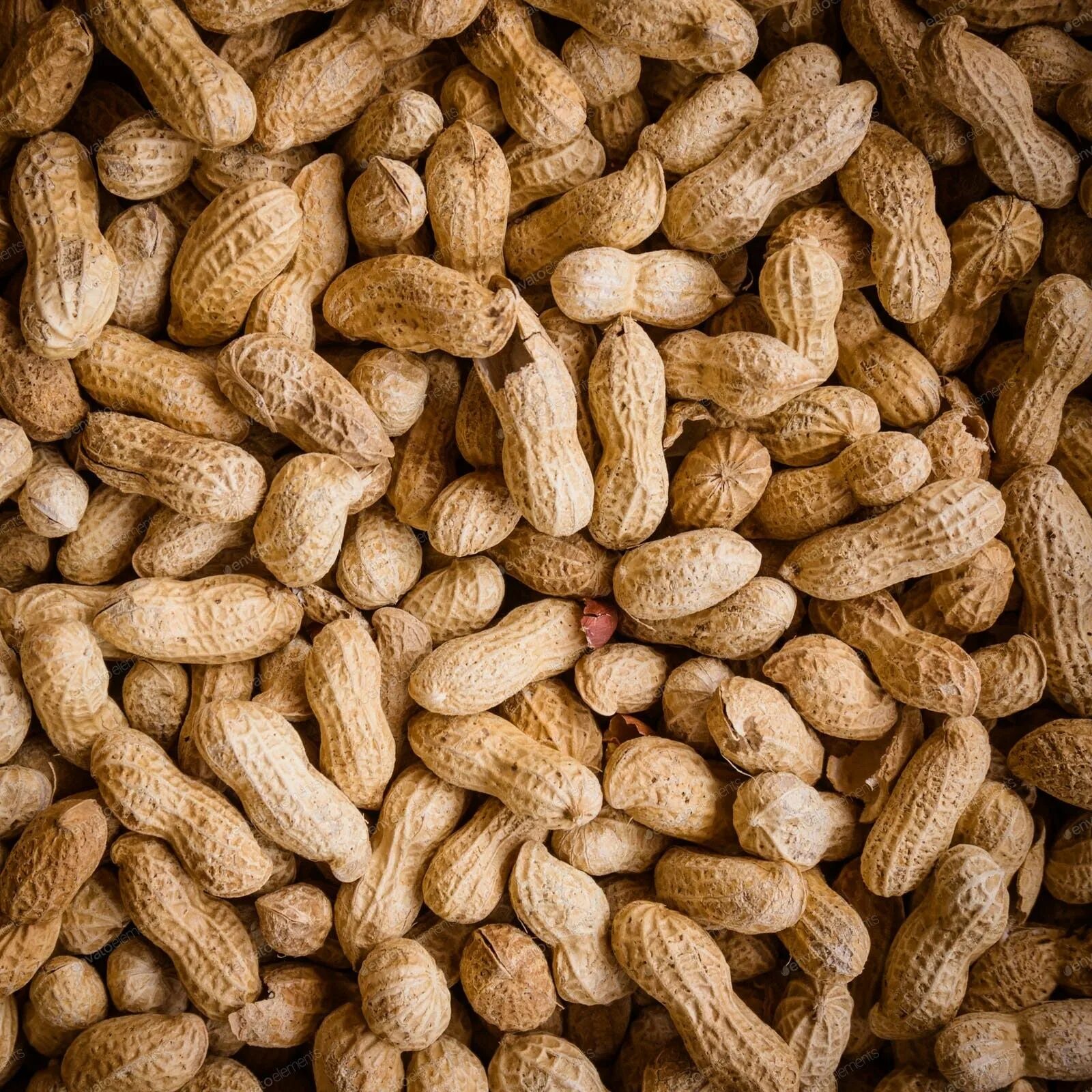 Peanuts 1