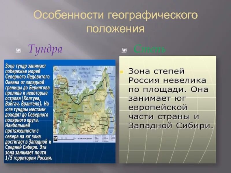 Сравнение тундры и степи. Географическое положение тундры. Географическое положение тундры в России. Географическое расположение тундры. Географическое положение тундры и степи.