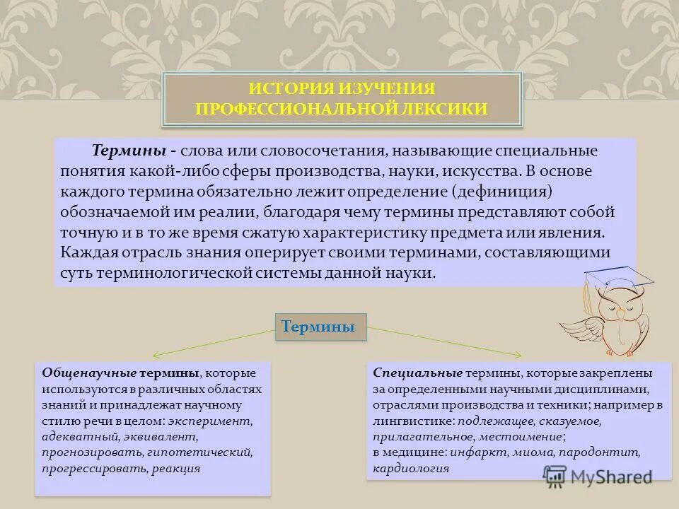 Употребления профессионализмов. Профессиональная лексика и термины. Терминология и профессиональная лексика. Профессиональная лексика термины и профессионализмы. Употребление профессиональной лексики и научных терминов.