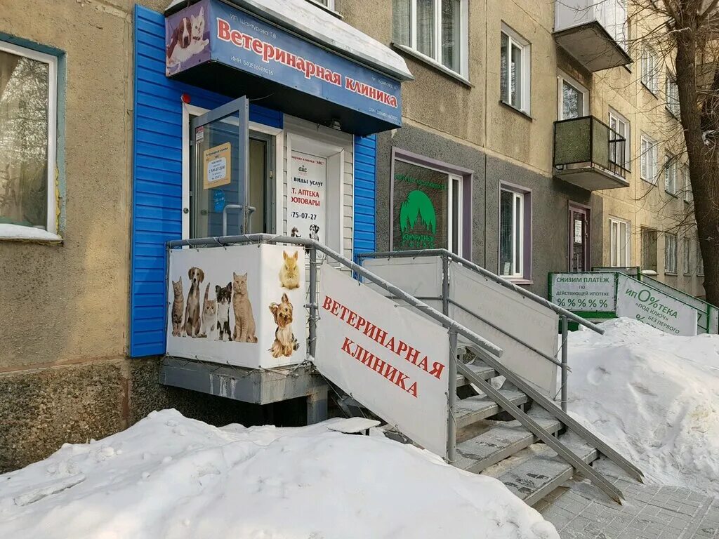 Айс клиник. Ветеринарная клиника в Новосибирске улица Новосибирская. Крылова 67 Новосибирск. Айс Новосибирск ветклиника. Муниципальная ветеринарная клиника в Новосибирске.