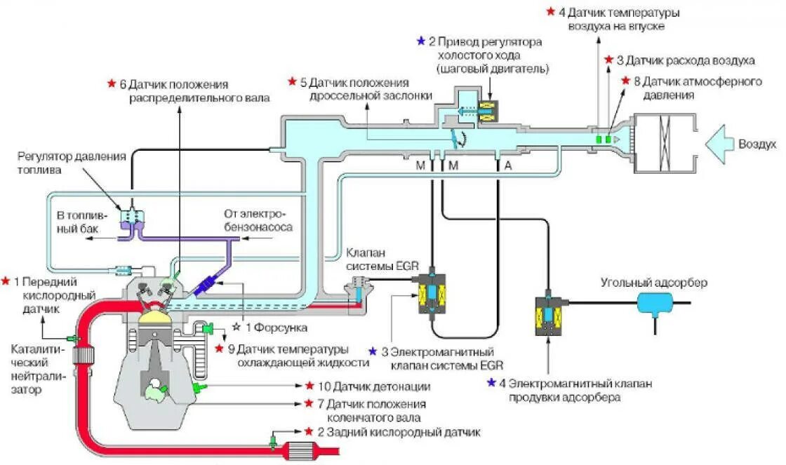 Управление подачи воздуха. Схема топливной системы бензинового двигателя. Принцип работы топливной системы бензинового двигателя. Система впрыска MPI. Схема работы топливной системы инжекторного бензинового двигателя.