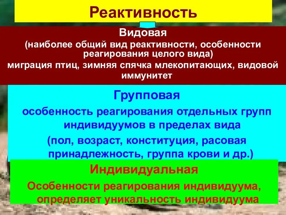 Реактивность латынь. Реактивность организма. Виды реактивности. Видовая реактивность. Формы патологической реактивности.