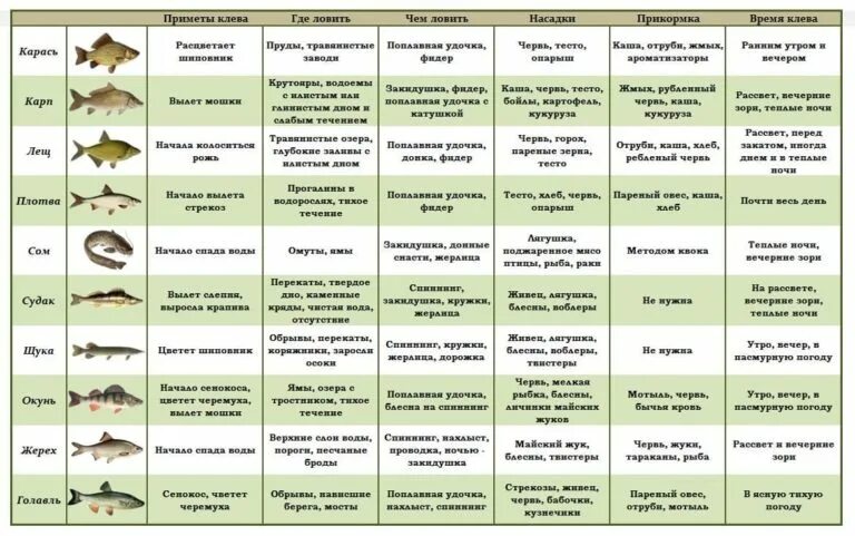 Какую рыбу сейчас можно ловить. Таблица рыбной ловли. Таблица клева рыбы. Таблица для рыбаков. Таблица зимних рыбалок.