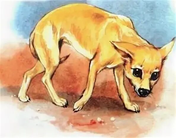 Пришвин лимон. Пришвин лимон. Произведениях михаила пришвина" лесной хозяин. Пришвин лимон рисунок. Собачка лимон из рассказа михаила пришвина.