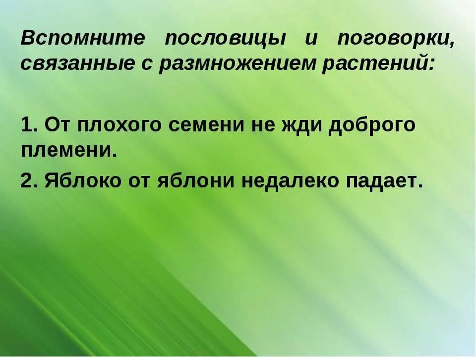 Подумай и напиши какое значение для каждого. Какое значение имеет здоровье. Какре значение имеет здоровье для человека. Цель и задачи организм человека 3 класс. Какое значение имеет здоровье для каждого человека 5.