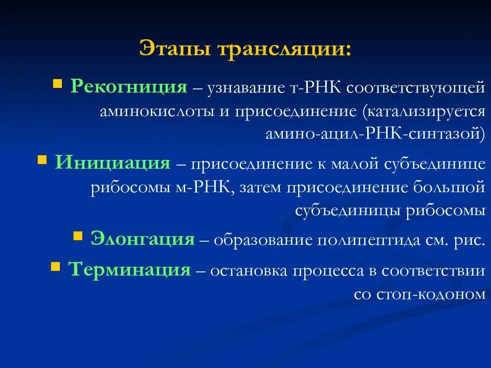 Какой сегодня трансляции. Трансляция инициация элонгация терминация. Трансляция биология этапы. Стадии трансляции. Механизм и этапы трансляции.