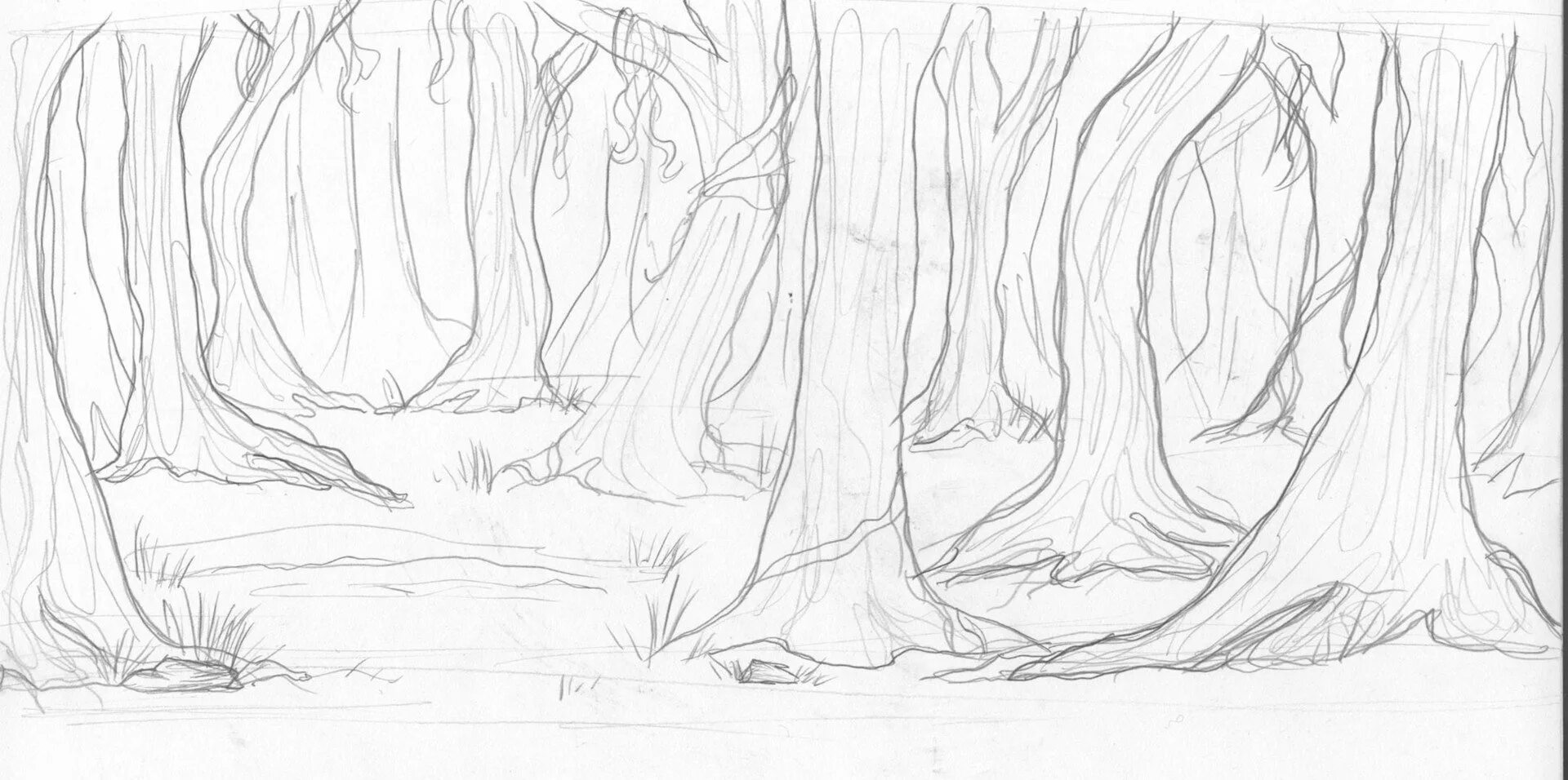 Рисунок лес карандашом для срисовки. Лес карандашом для начинающих. Нарисовать лес карандашом. Сказочный лес карандашом. Деревья вдали рисунок
