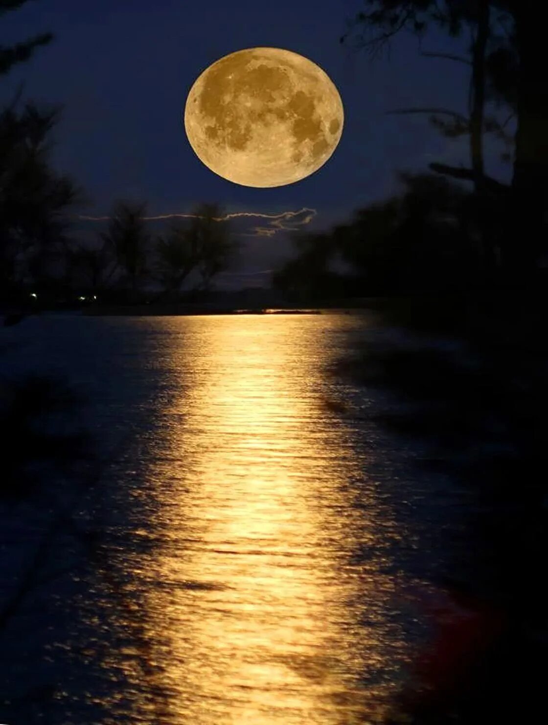 Каким цветом светит луна. Красивая Луна. Ночь полнолуния. Ночная Луна. Отражение Луны в воде.