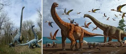 Especies De Dinosaurios