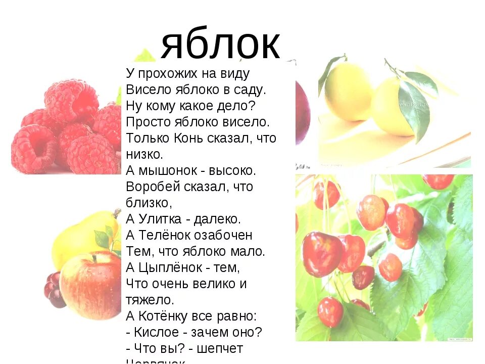 Яблонька текст. Стихотворение Генриха Сапгира яблоко. Сапгир яблоко висело стих. Стих про яблочко для детей. Стихотворение про яблоко для детей.