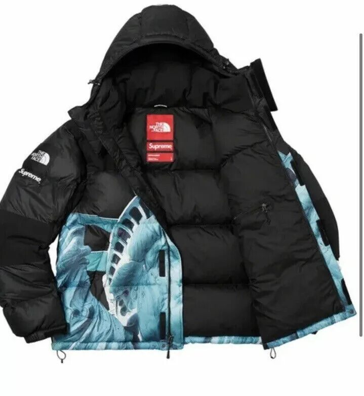 Зимняя куртка оригинал. Пуховик TNF X Supreme 700. Пуховик the North face 700 Supreme. Supreme x the North face пуховик 700. Пуховик the North face Baltoro 700.