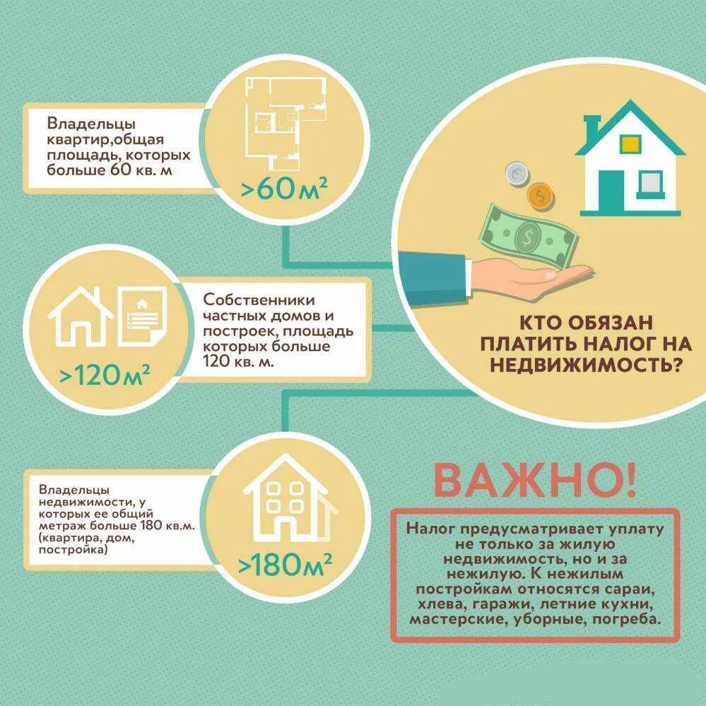 5 лет срок владения квартирой