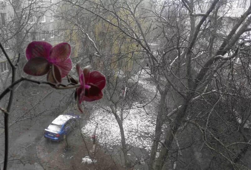 Весенняя непогода. Весенняя непогода. Пасмурный зимний день. Весенняя непогода. Весенний дождь.