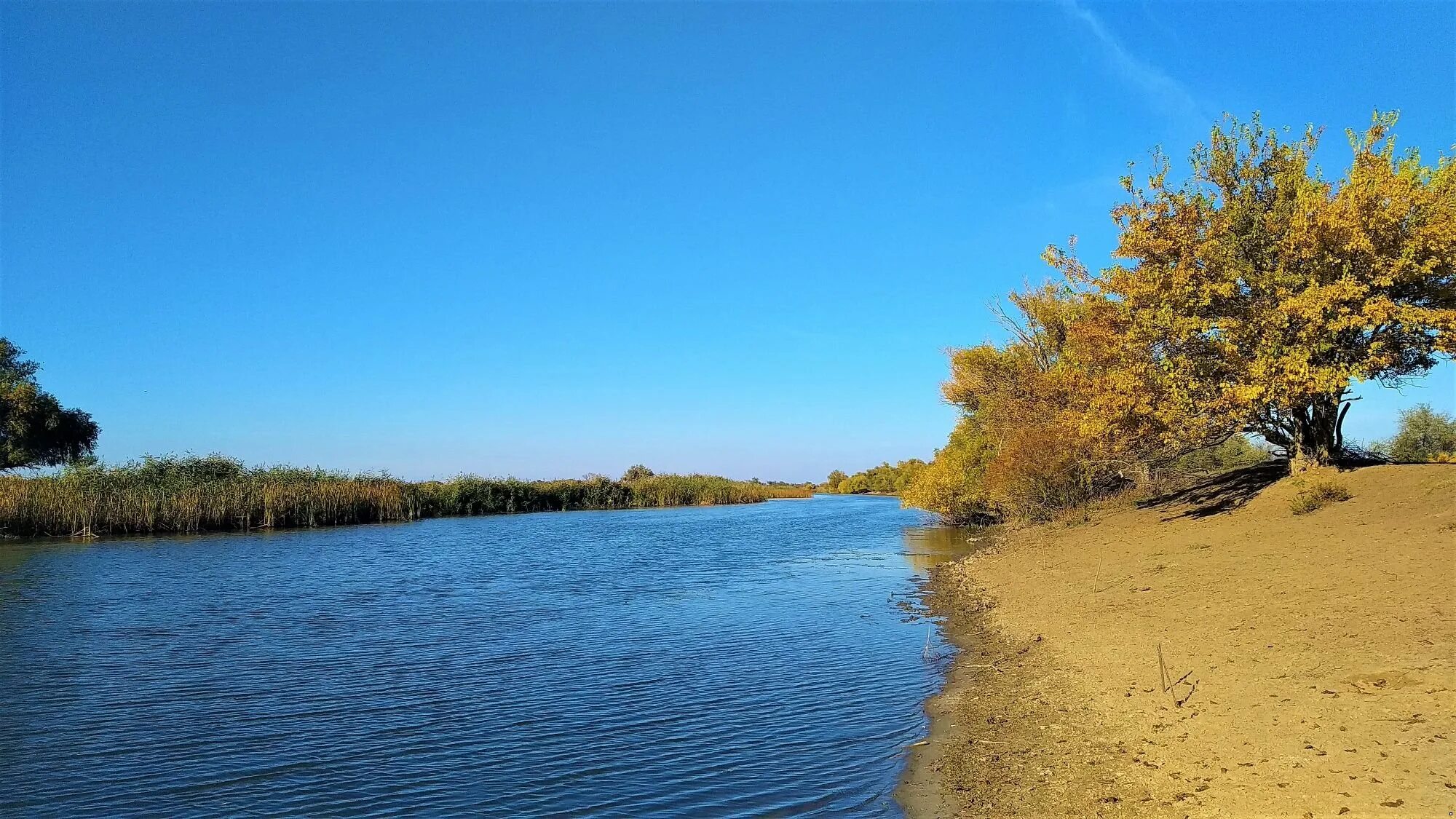 Вода в реке астрахань. Дельта реки Волга. Астрахань Устье Волги. Дельта реки Волга в Астрахани. Низовье Волги Астрахань.